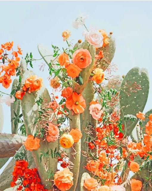 Cactus Flower Aesthetic paint by number