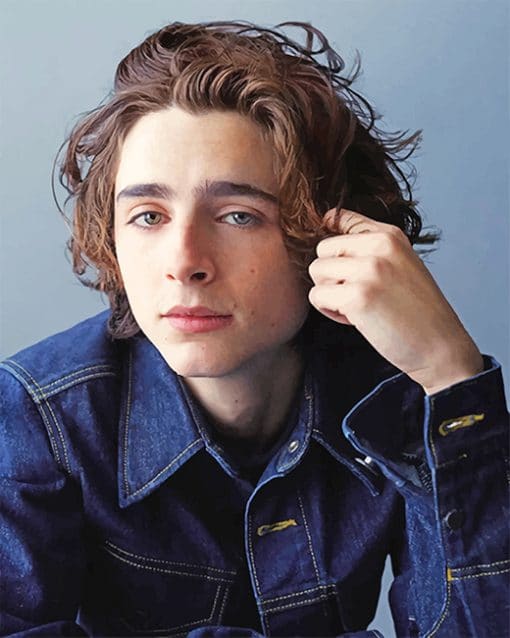 Handsome Timothée Chalamet paint by number