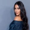 Kim Kardashian Innovator Awards paint by number