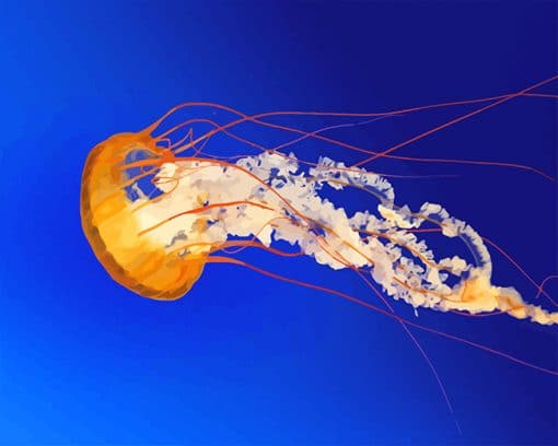 Orange Jellyfish Adult paint by number