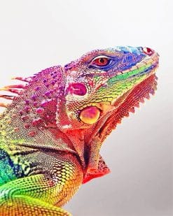 Rainbow Iguana paint by number