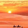 Sahara Desert paint by number