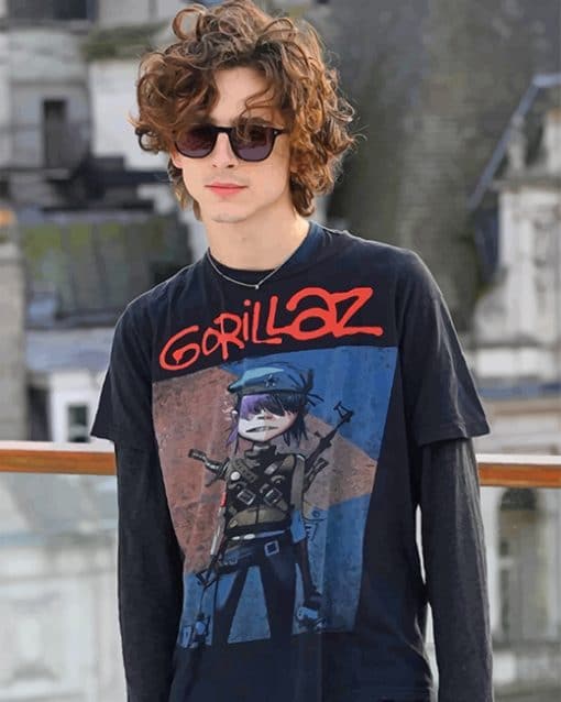 Stylish Timothee Chalamet paint by numbers