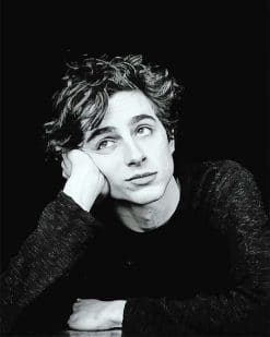 Timothée Black And White Portrait paint by number