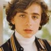 Timothee Chalamet Portrait