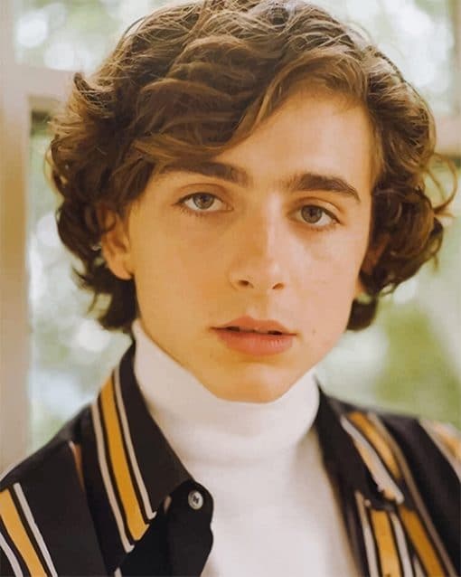 Timothee Chalamet Portrait