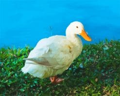 white duck adult paint by number