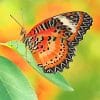 Beautiful Orange Butterfly Paint By Numbers