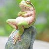 Frog Relaxes On A Rock Paint By Numbers