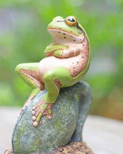 Frog Relaxes On A Rock Paint By Numbers