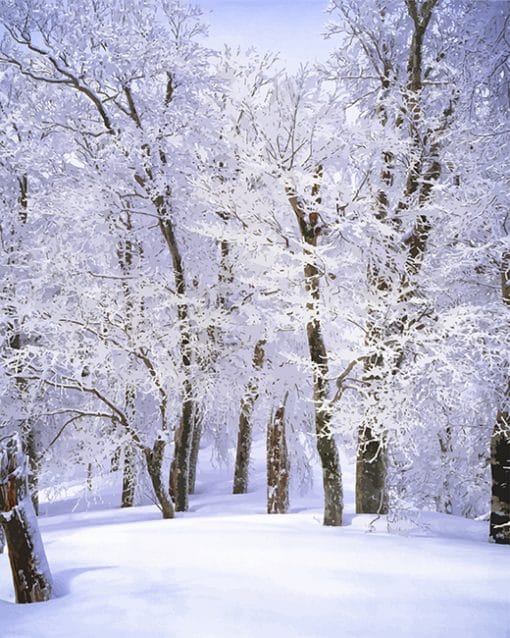 Trees Covered With Snow Paint By numbers