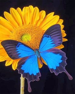 Blue Butterfly And A Sunflower Paint By Numbers