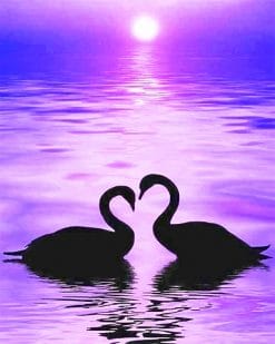 Ducks in Love Silhouette Paint By Numbers