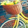 Yellow Bicycle And Flowers Paint By Numbers