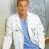 Alex Karev Greys Anatomy adult paint by numbers