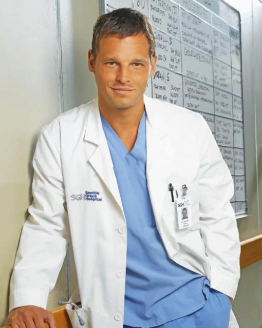 Alex Karev Greys Anatomy adult paint by numbers