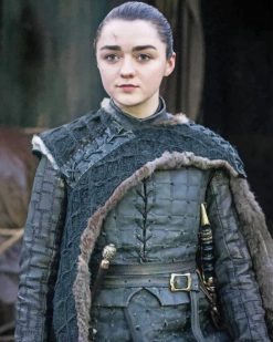 Arya Stark GOT adult paint by numbers