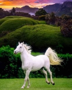 Beautiful White Horse paint by number