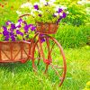 Bicycle Garden Flowers Paint By Numbers