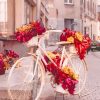 Bike And Flowers paint by numbers