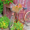 Bike With Flower Basket paint by number