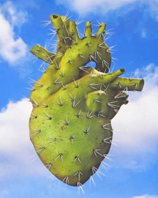 Cactus Heart adult paint by numbers