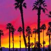 California palm tree sunrise adult paint by numbers