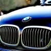 Chrome Bmw Grille adult paint by numbers