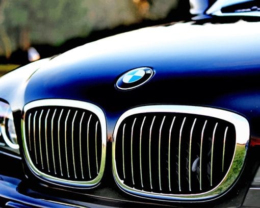 Chrome Bmw Grille adult paint by numbers