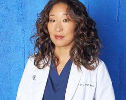 Cristina Yang Greys Anatomy adult paint by numbers