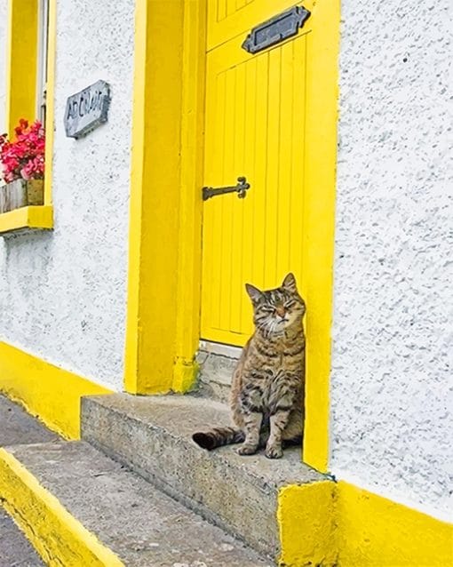 Cute kitty yellow door adult paint by numbers