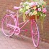 Cute Pinky Bike Paint By Numbers