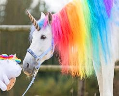 Cute unicorn adult paint by numbers