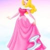 Disney Princess Aurora adult paint by numbers