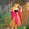 Disney Princess Aurora adult paint by number