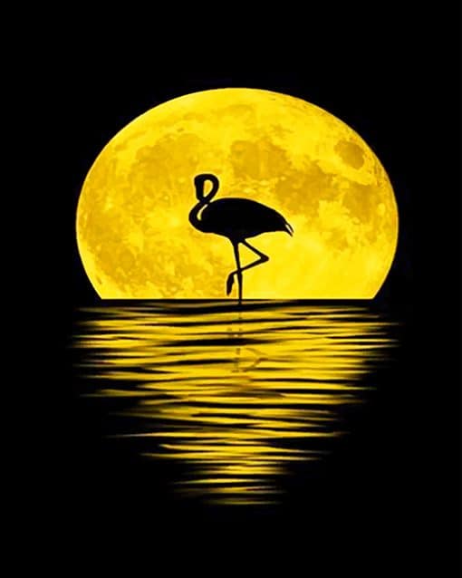 Flamingo Moon Silhouette Paint By Numbers