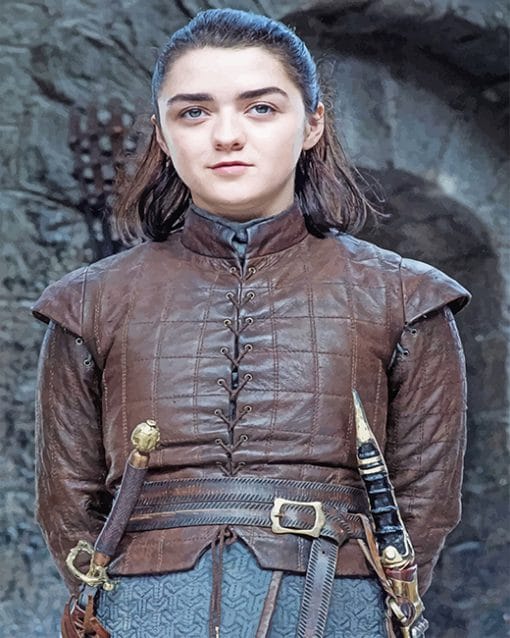 Game of thrones maisie adult paint by numbers