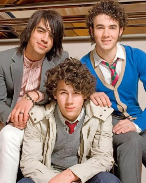 Jonas Brothers Camp Rock adult paint by numbers