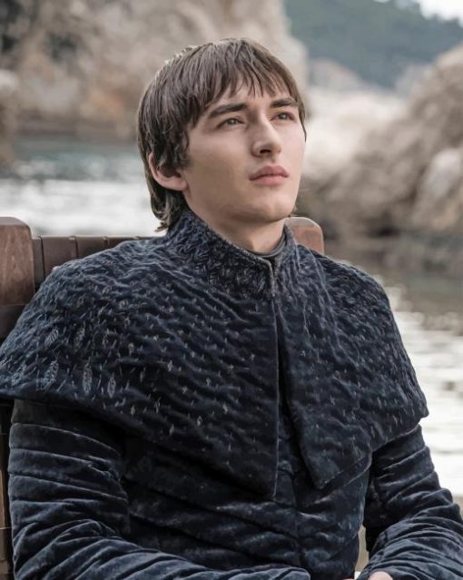 King Bran Game Of Thrones adult paint by numbers