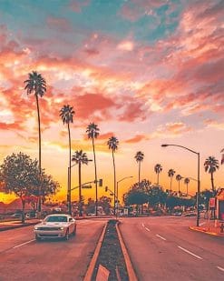 Los angeles palm tree sunset adult paint by numbers