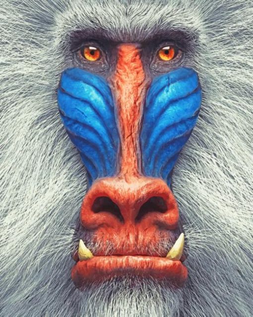 Mandrill Illustration adult paint by numbers