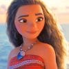 Moana curly hair adult paint by numbers