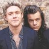 Niall Horan And Harry Styles Paint By Numbers