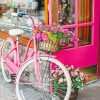 Pink Bike With Beautiful Flowers paint by numbers