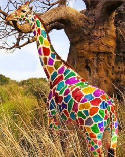 Rainbow Giraffe adult paint by numbers