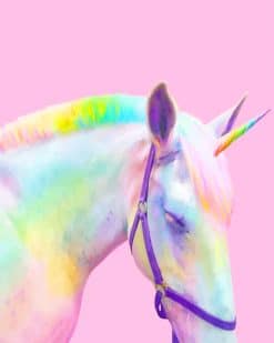 Rainbow Horse paint by number