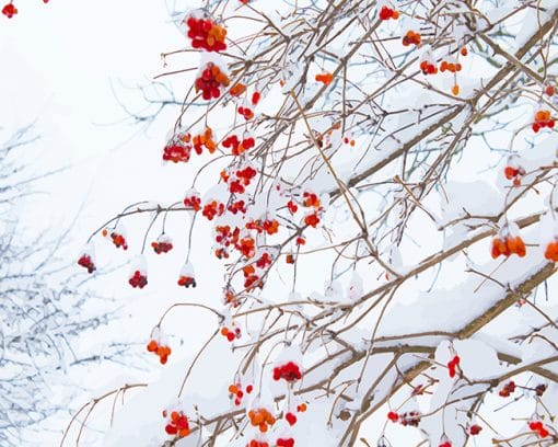 Red flowers snow adult paint by numbers