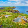 Saltee Island Great Ireland paint by number