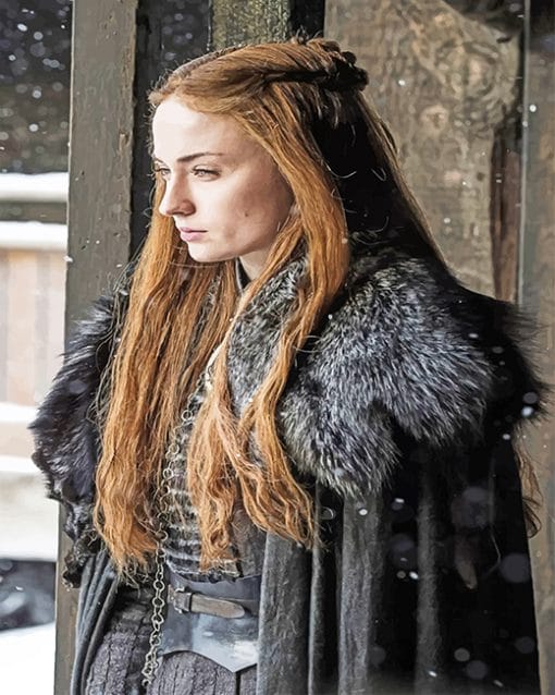 Sansa Stark game of thrones adult paint by numbers