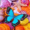 Seashells blue butterfly adult paint by numbers